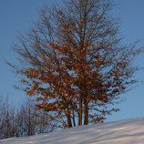 Pod Pustým hradom ????