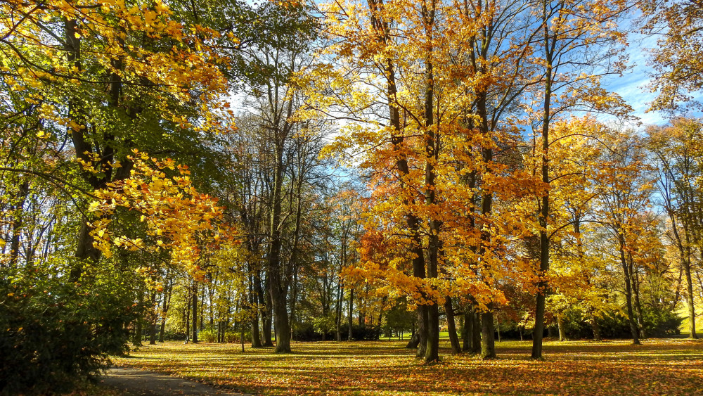park v kaštieli - Strážky - Spišská Belá