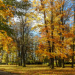park v kaštieli - Strážky - Spišská Belá