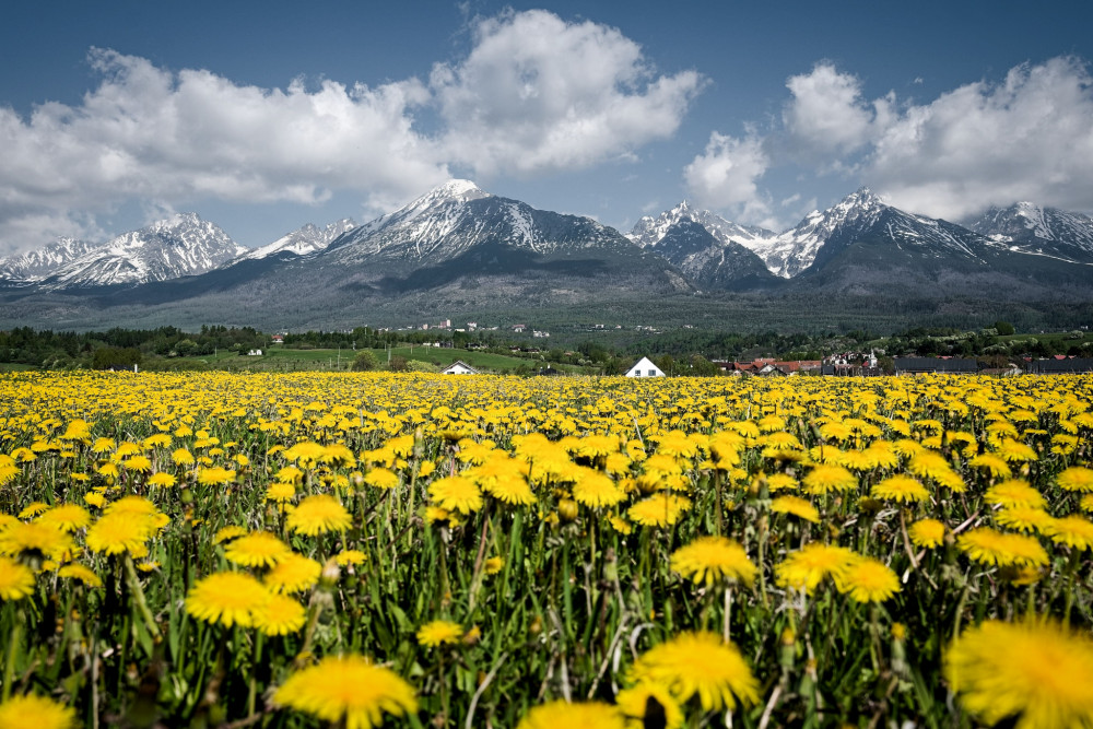 Tatry