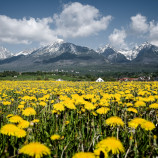 Tatry