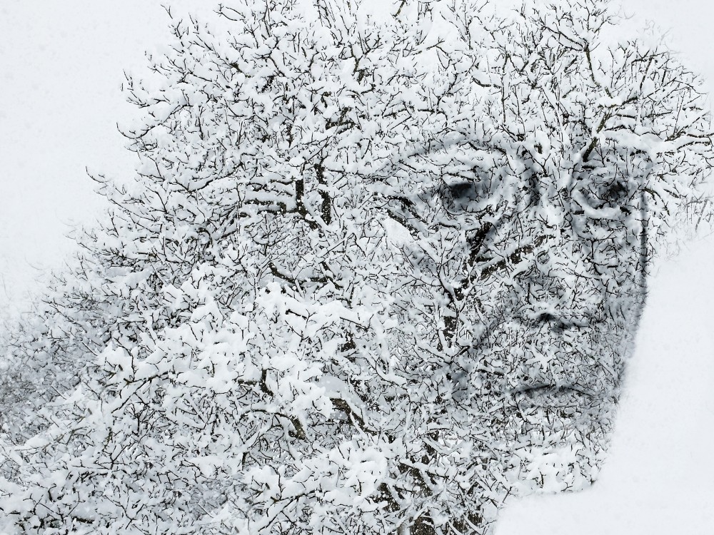 zimný autoportrét