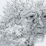 zimný autoportrét