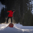 Freestyle snowboarding