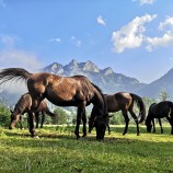 Pieniny