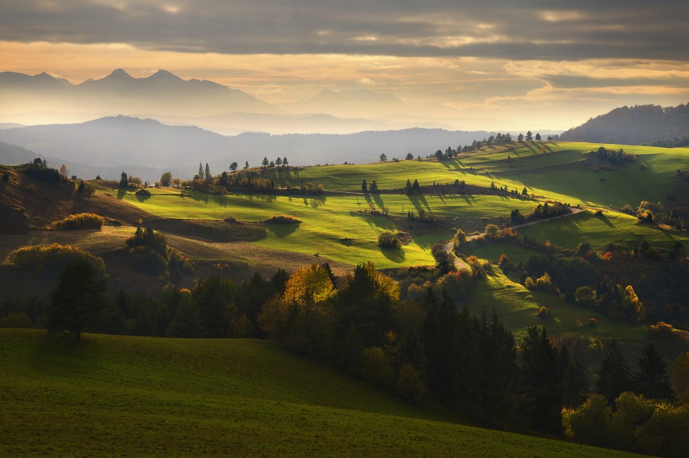 Lesnícke sedlo a Vysoké tatry