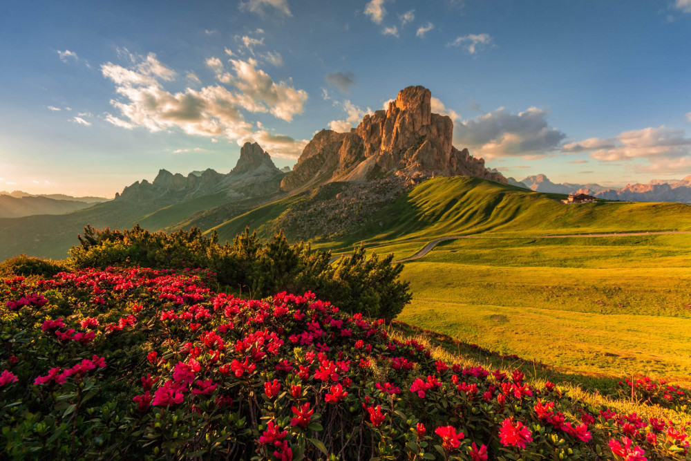 Rozkvetlé Passo Giau v italských Dolomitech