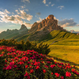 Rozkvetlé Passo Giau v italských Dolomitech