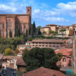 siena