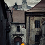 sám