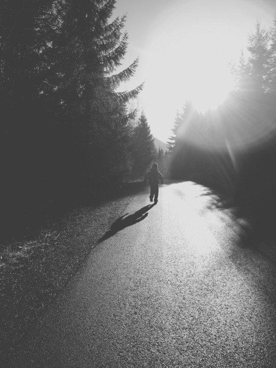 Into the wild