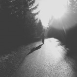 Into the wild