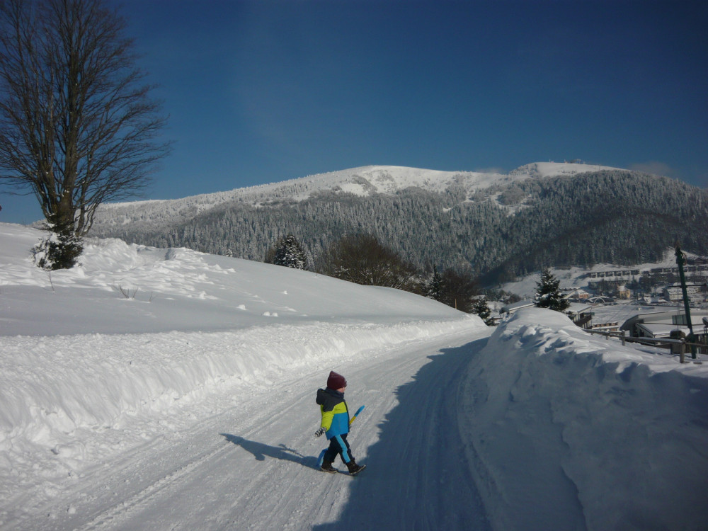 Najkrajšie foto, SLOVENSKO