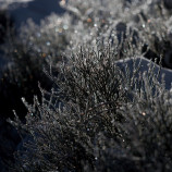 vianočný bokeh