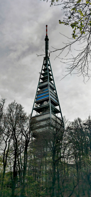 Kamzík