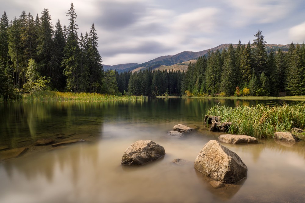 Vrbické pleso