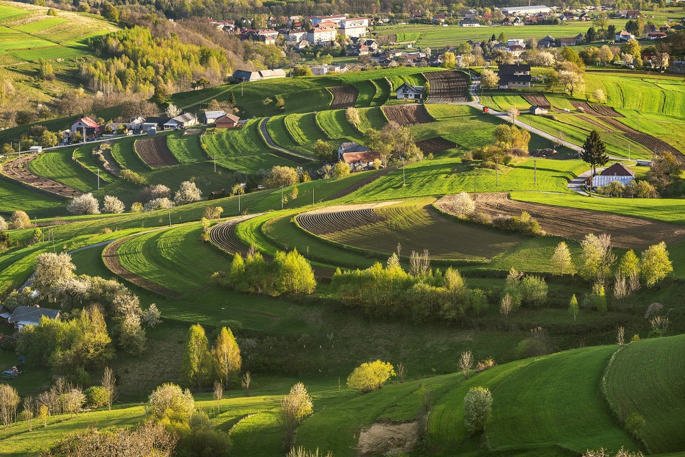 Hriňovské lazy