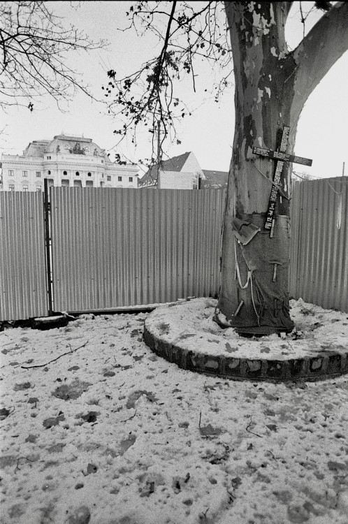 Kríž na strome