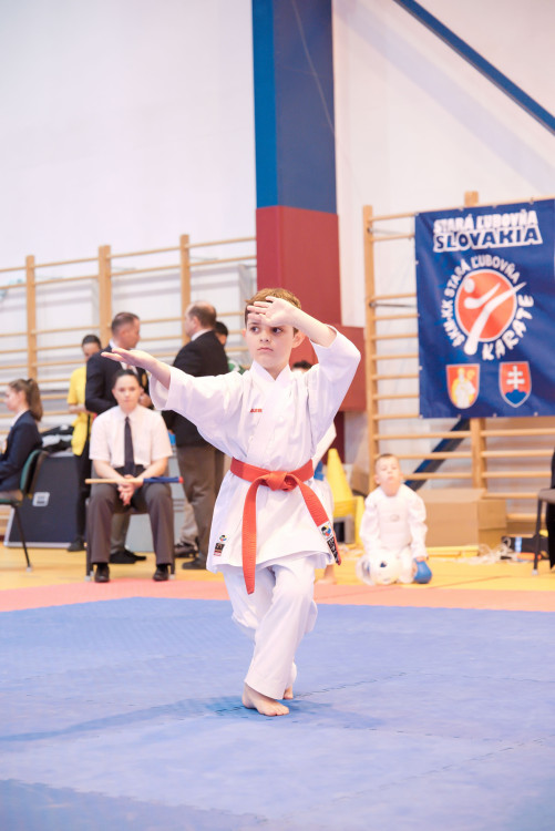Karate boy