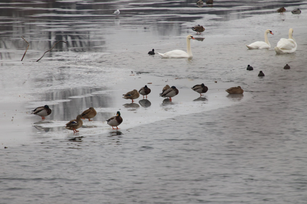 spoločne zimu zvládneme