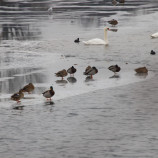 spoločne zimu zvládneme