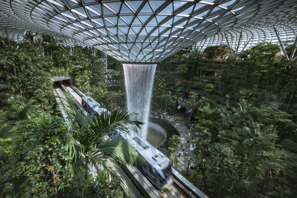 Urban Jungle Transit