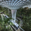 Urban Jungle Transit