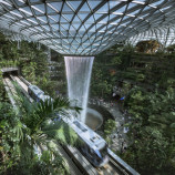 Urban Jungle Transit