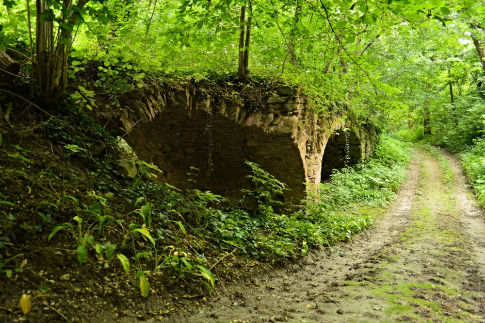 Jarovská bažantnica