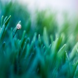 zostup