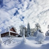 SLOVENSKO/ČR - Kohútka