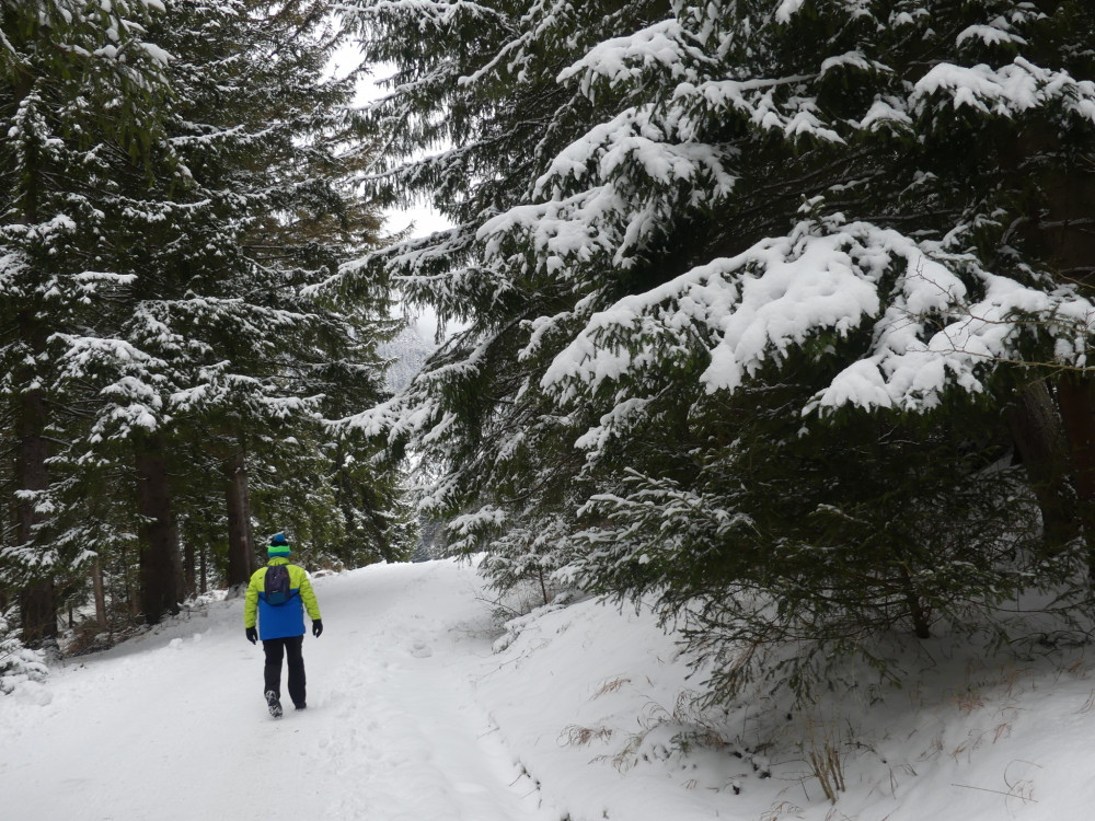 prechádzka v tichu,,