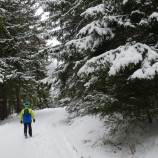 prechádzka v tichu,,