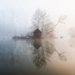 Misty Mill