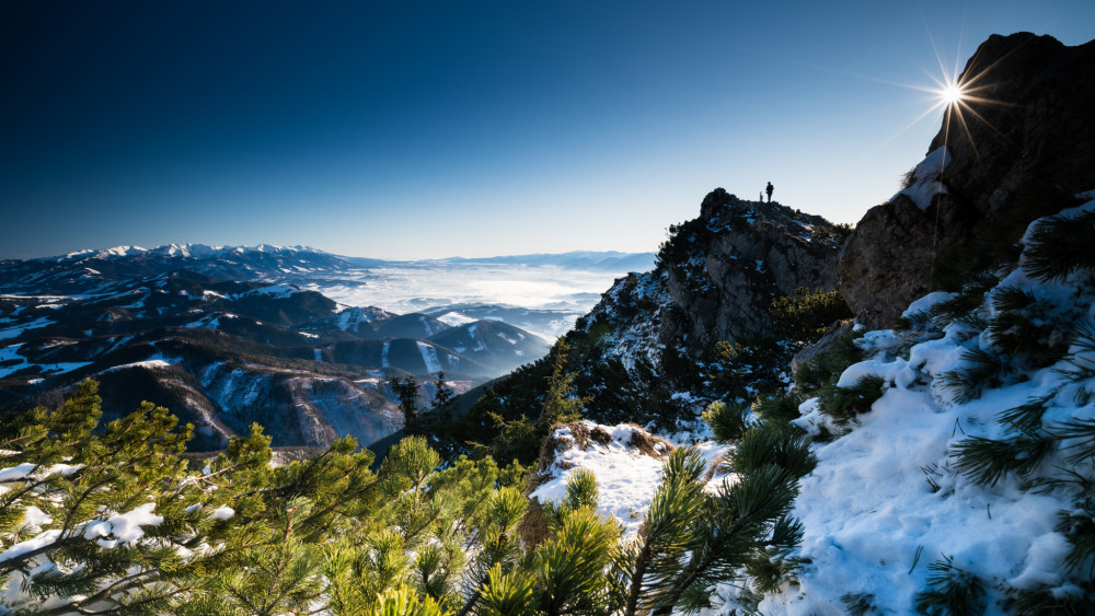 Zubaté slniečko na Veľkom Choči