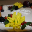Oslava Torta 50r