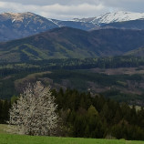 Niekde sneh a niekde to už kvitne