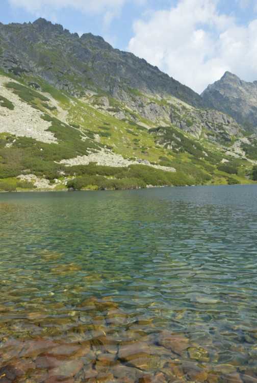 Temnosmrečinské pleso