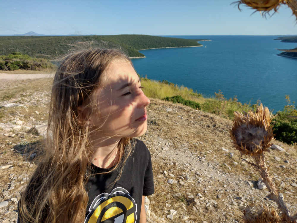 A predsa voní