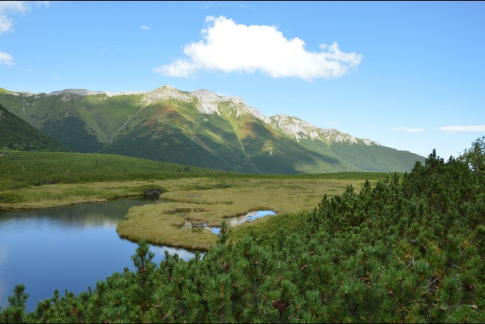 Trojrohé pleso