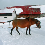 Liptovská Teplička.