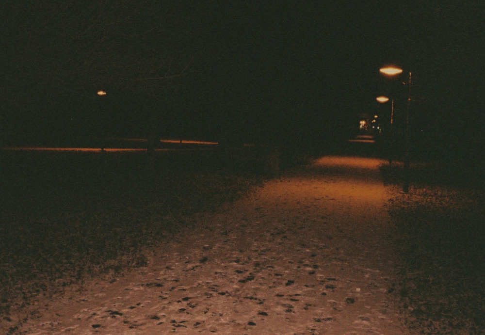 Zimná príroda(v nočnom parku).