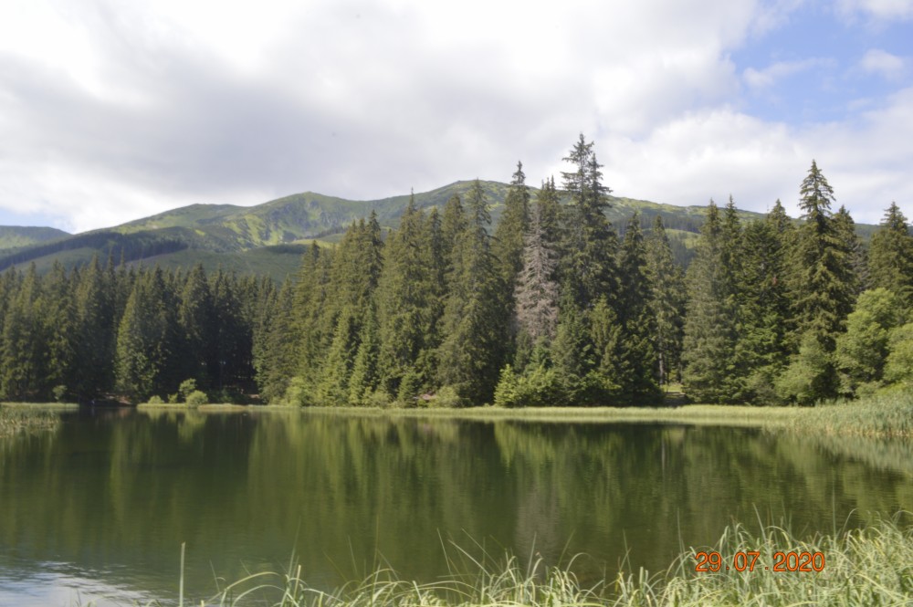 Vrbické pleso