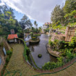 Madeira - botanicka zahrada