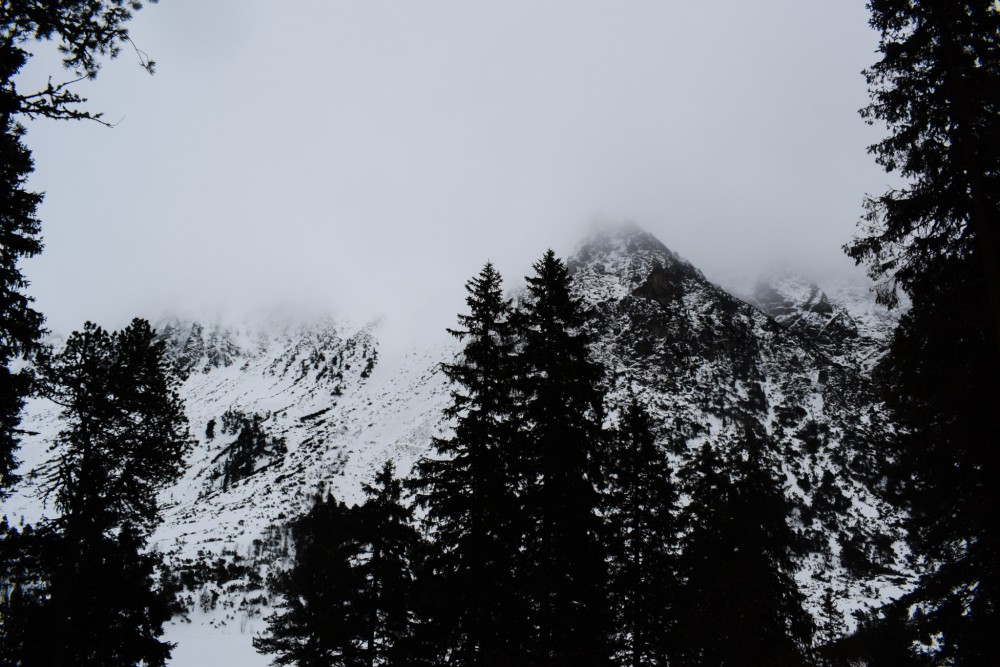 Vysoké Tatry