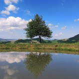 Hradné jazierko Kamenica