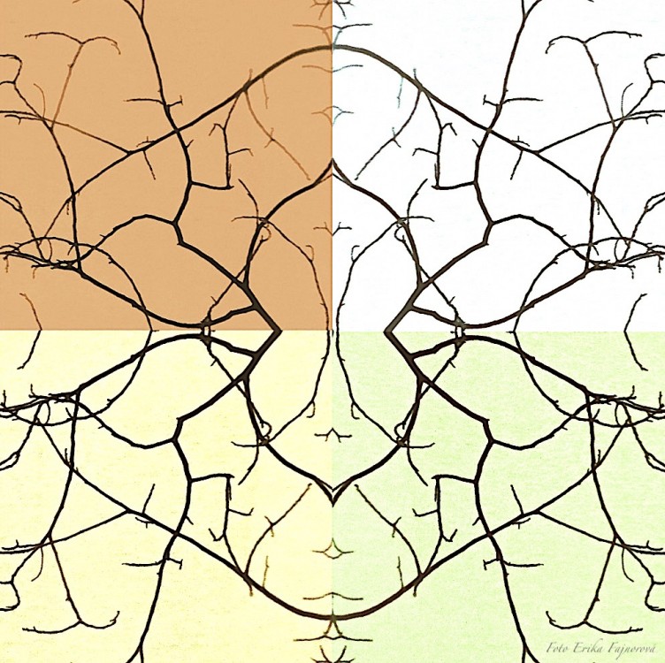 HRA 4