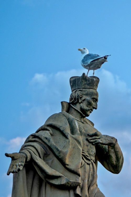 Pristátie s výhľadom