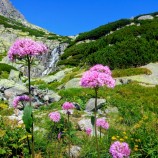 Vodopád skok Vysoké Tatry