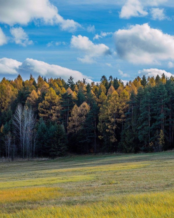 Spišské lúky